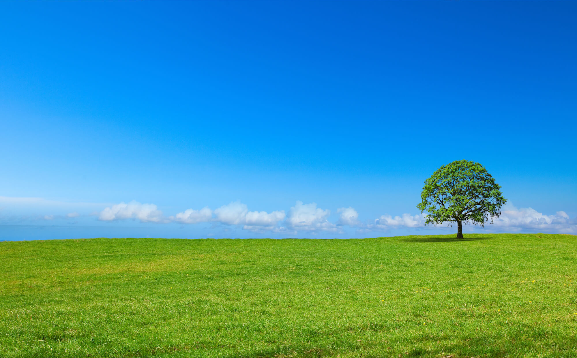 MeineRadionik Anwendung